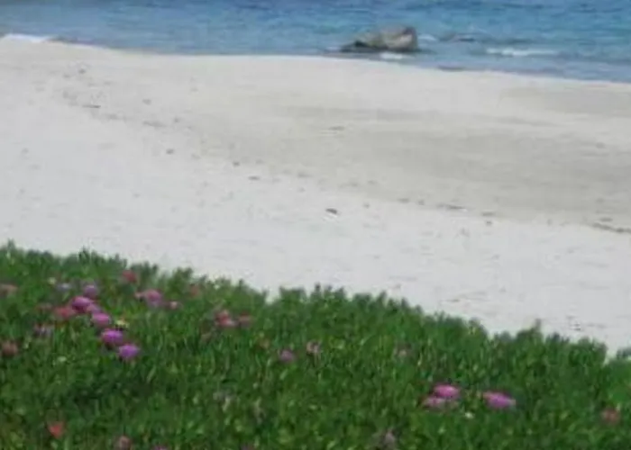 Natur- Oekologische Nachhaltigkeit- Nur Fuer Erwachsene- In Der Naehe By Interhome Hébergement de vacances *