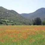 Natur- Oekologische Nachhaltigkeit- Nur Fuer Erwachsene- In Der Naehe By Interhome Ferienhaus