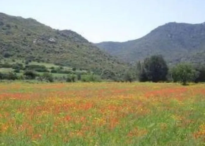 Natur- Oekologische Nachhaltigkeit- Nur Fuer Erwachsene- In Der Naehe By Interhome Nyaraló